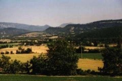 foto_103