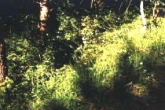foto_120