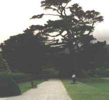 04 Muckross House