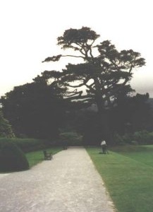 04 Muckross House