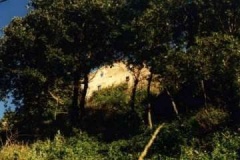 foto_039