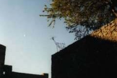 foto_061