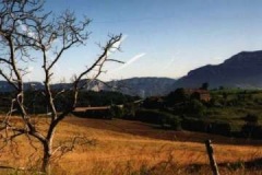 foto_083