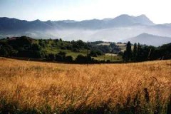 foto_084