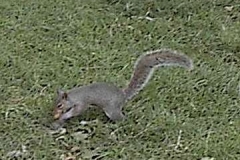 05_Union_Square_(4)