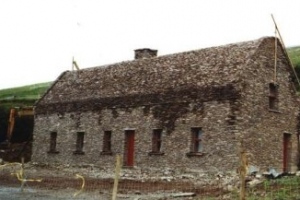 08 Dingle