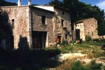 09 Kräuter der Provence - Collinshof