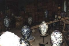 foto_415