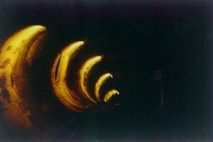 1994-05_Nimes_-_Arena_(14)