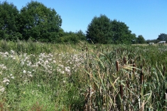 2015-Geltinger-Birk-4