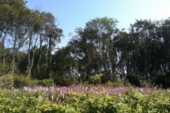 2015-Geltinger-Birk-5