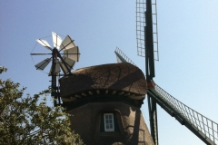 2015-Geltinger-Birk-6