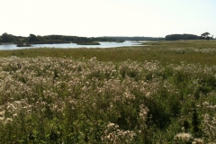 2015-Geltinger-Birk-7