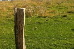 2015-Geltinger-Birk-8