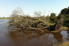 2015-Geltinger-Birk-9