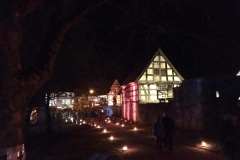 2016-12-Freilichtmuseum-Detmold-8
