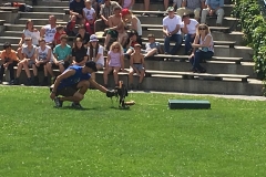 2016-Sommer-Urlaub-Kaernten-11