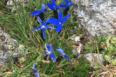 2016-Sommer-Urlaub-Kaernten-22