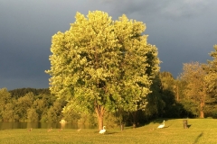 2016-Sommer-Urlaub-Kaernten-26