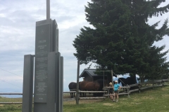 2016-Sommer-Urlaub-Kaernten-4