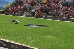 2016-Sommer-Urlaub-Kaernten-6