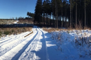 2017/01 Sundern und Sorpetalsperre