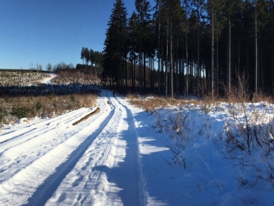 2017/01 Sundern und Sorpetalsperre