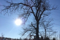 20170122-Sundern-und-Sorpetalsperre-10