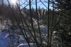 20170122-Sundern-und-Sorpetalsperre-4