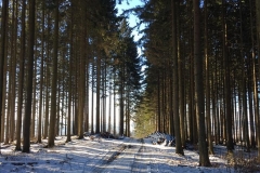 20170122-Sundern-und-Sorpetalsperre-6