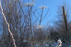 20170122-Sundern-und-Sorpetalsperre-8