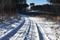 20170122-Sundern-und-Sorpetalsperre-9