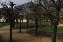 20170419-Saechsische-Schweiz-11