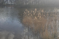 201704-Bernsdorf-8