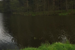 201704-Bernsdorf-9