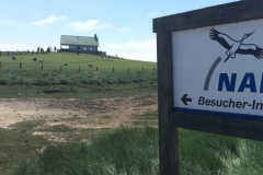 20170526-Hamburger-Hallig-10