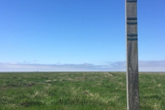 20170526-Hamburger-Hallig-2