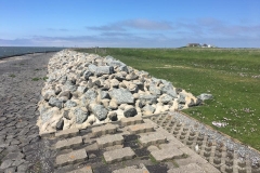 20170526-Hamburger-Hallig-4