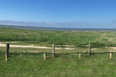 20170526-Hamburger-Hallig-6