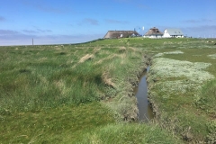 20170526-Hamburger-Hallig-7