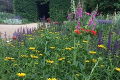 20170604-Botanischer-Garten-Guetersloh-13