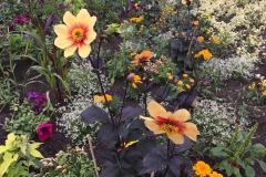 20170604-Botanischer-Garten-Guetersloh-6