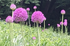 20170604-Botanischer-Garten-Guetersloh-8