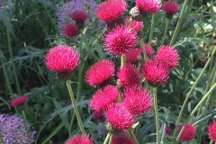 20170605-LGS-Bad-Lippspringe-8