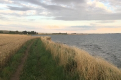 20170708-Daenemark-52