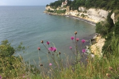 20170708-Daenemark-79