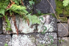 20171027-Saechsische-Schweiz-12