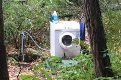 20171027-Saechsische-Schweiz-3