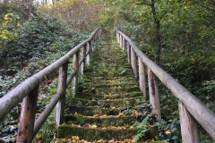 20171027-Saechsische-Schweiz-4