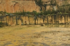 20171027-Saechsische-Schweiz-6